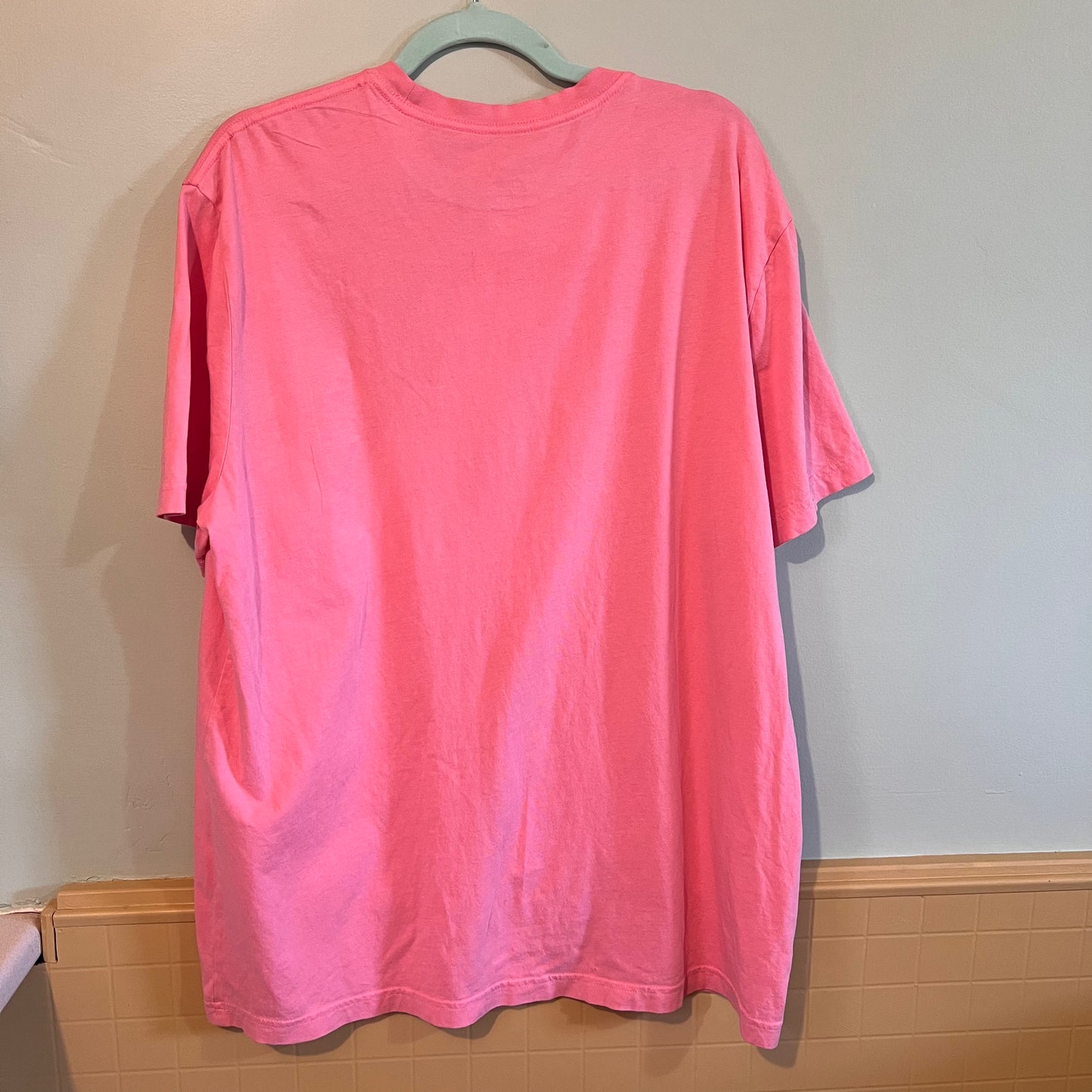 "lights camera bitch smile" swiftie pink short sleeve (size XL)