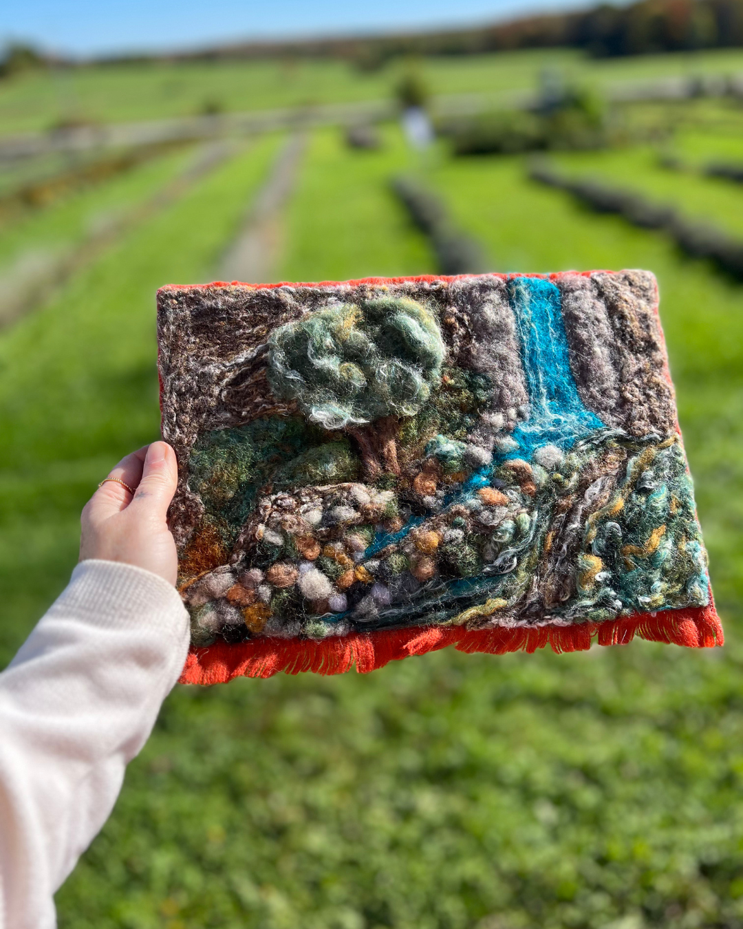 'lowlands of the highlands' needle felting