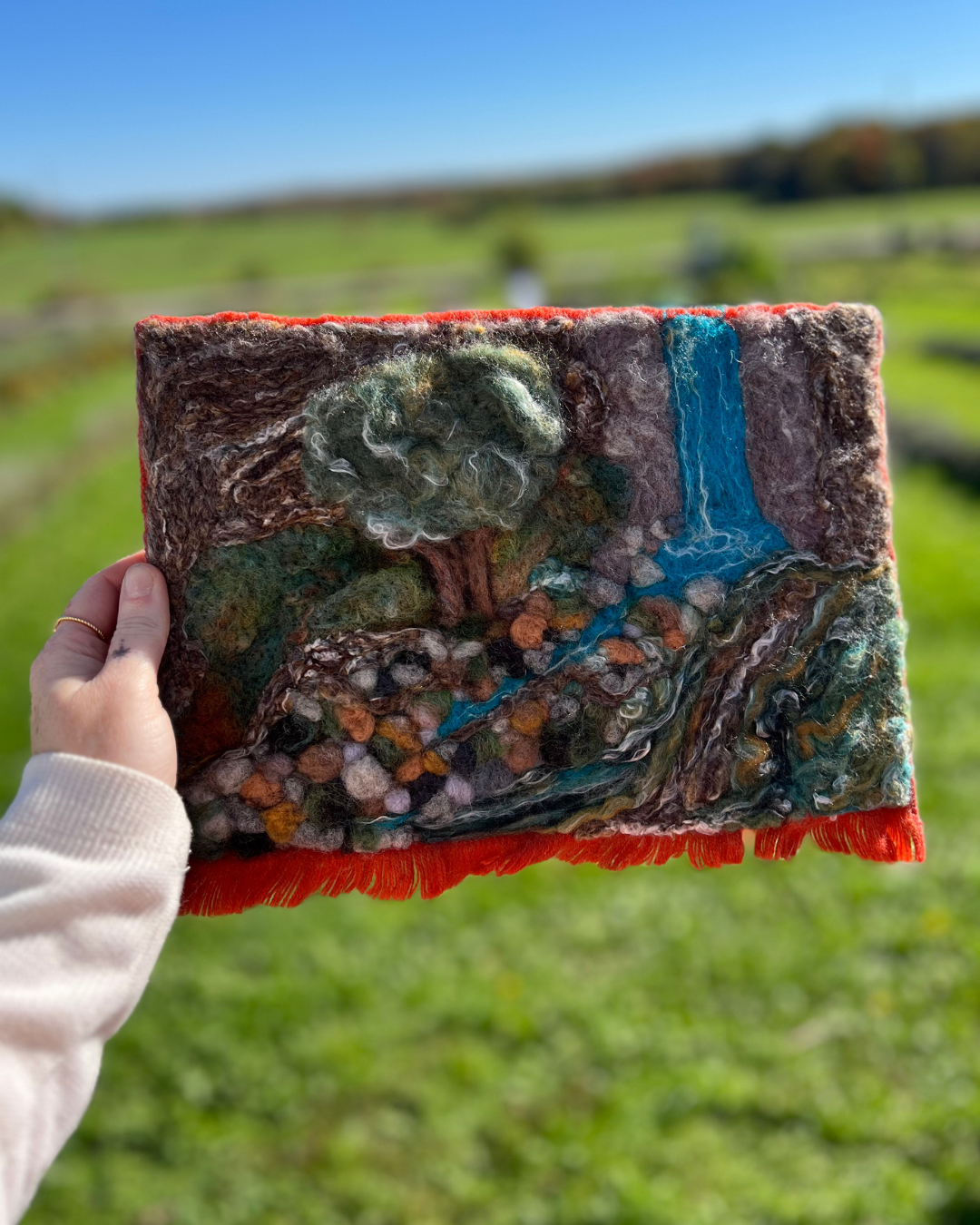 'lowlands of the highlands' needle felting