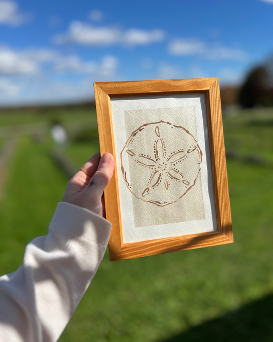 'shimmer sand dollar' watercolour original painting
